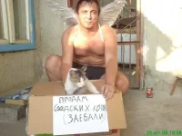 x_c3af5095.webp