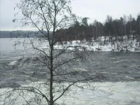 DSCN1640.webp