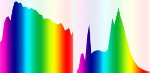 dnevnoy.webp