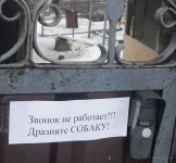 дразните собаку.webp