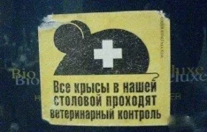 крысы.webp