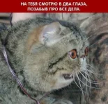 5.webp