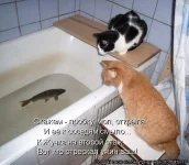 1061938.webp