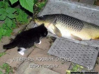 getImage (20).webp