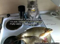 getImage (66).webp