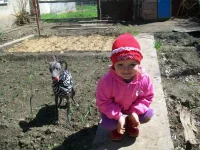 100_2942.webp