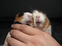 IMG_6419.webp