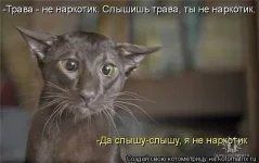 getImage (43).webp