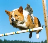 x_3fc1b43e.webp