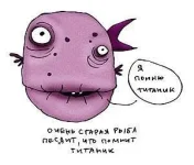 x_c4249413.webp