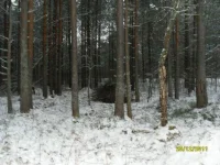 SL372099.webp