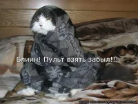 getImage (71).webp