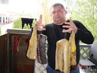 осе.webp