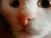 DSCN0274.webp