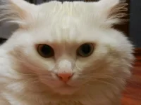 DSCN0281.webp