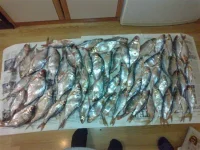 Копия 10012012275.webp