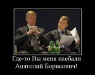 62.webp