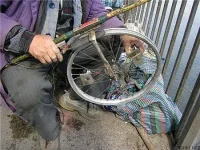 x_e3d14231.webp