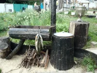 P6192736.webp