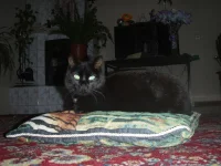04.08.2011 184.webp