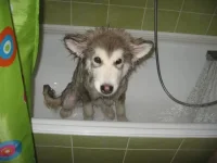 getImageCAKWT32F.webp