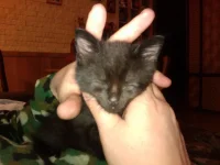 IMAG_0079.webp