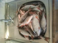 2012-02-13 18.23.34.webp