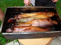 Resize of DSC07200.webp