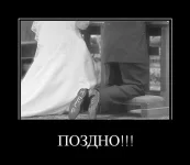 015.webp