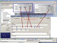 4.webp