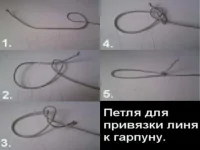 CIMG9190.webp