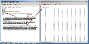 7.webp