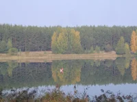 На Белом 033.webp