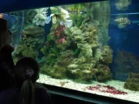 DSCN1283.webp