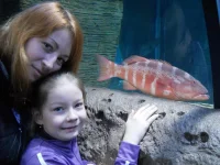 DSCN1290.webp
