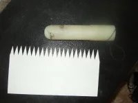 DSCF6350.webp