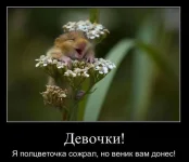 82.webp