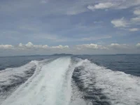 DSC02770.webp