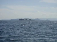 DSC03065.webp