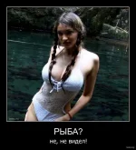 79b867bdbc721ba24a0de722fc3b29583b1bd177_1.webp