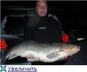 Амур в Карманово.webp