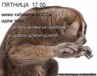 455665.webp