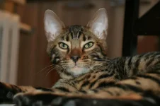 Изображение 093.webp