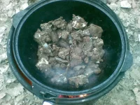 10012010(006).webp