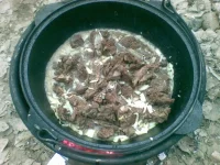 10012010(009).webp
