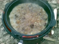 10012010(010).webp