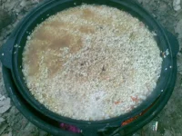 10012010(011).webp