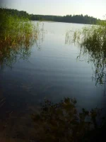 S6001420.webp