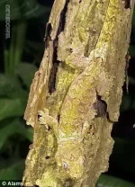 кам2.webp