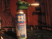 11.webp